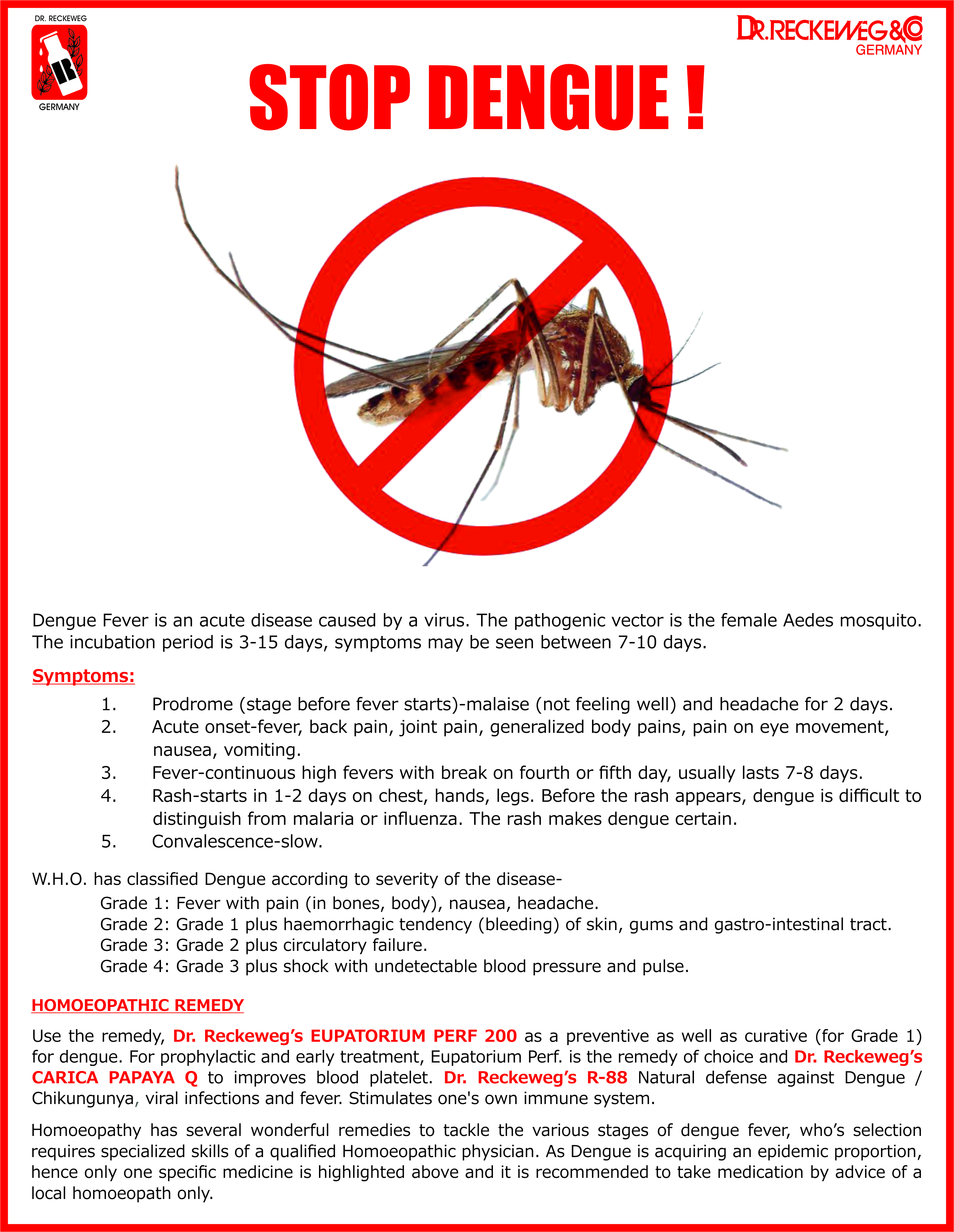 dengue-prevention