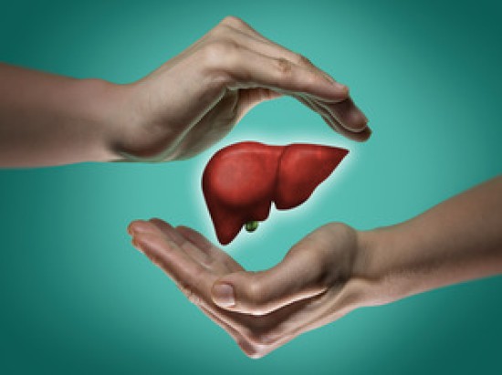Reckeweg India Medicine for Fatty Liver problem