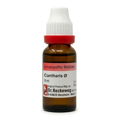 Dr. Reckeweg Cantharis Q