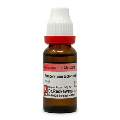Dr. Reckeweg Sempervivum tect Q