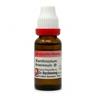 Dr. Reckeweg Xanthozylum Q