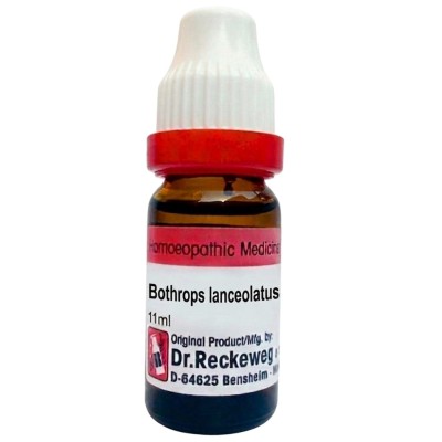 Dr. Reckeweg Bothrops lanc