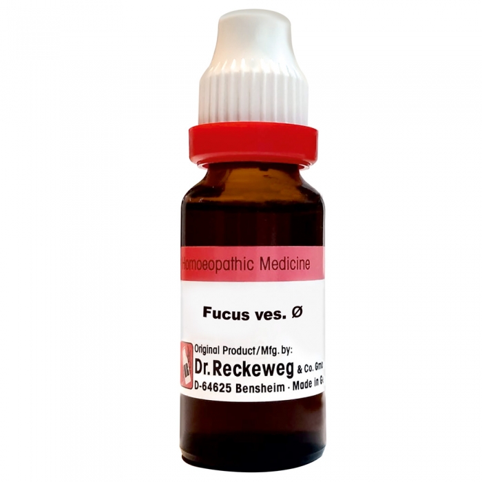 Dr. Reckeweg Fucus Vesic Q