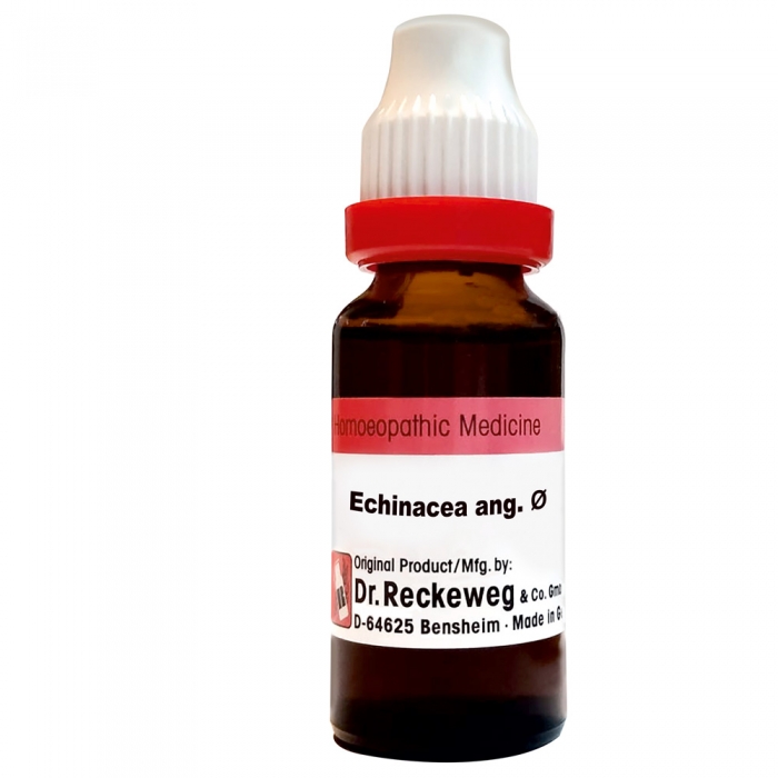 Dr. Reckeweg Echinacea Ang.Q