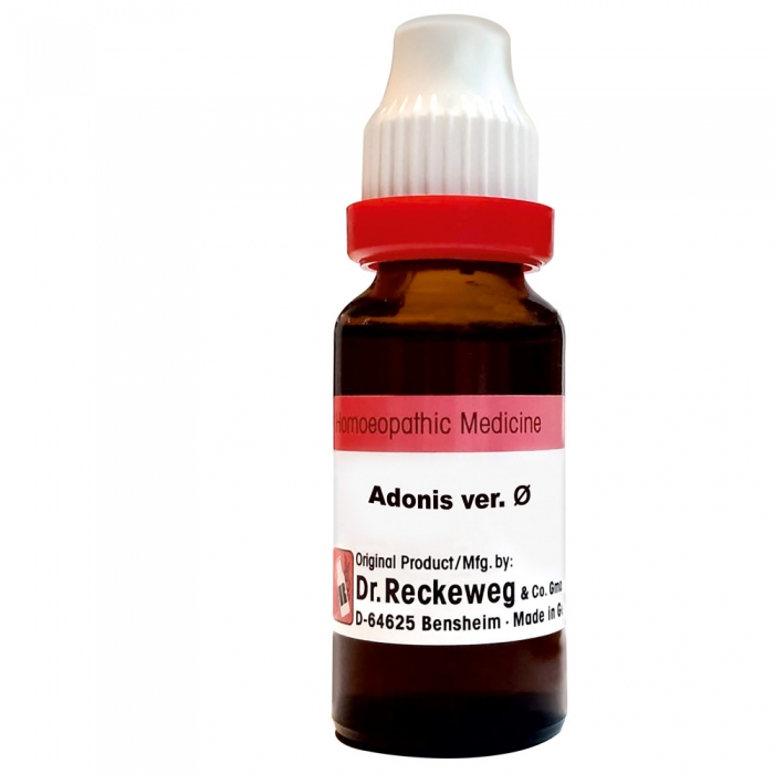 Dr. Reckeweg Adonis Ver. Q